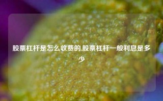 股票杠杆是怎么收费的,股票杠杆一般利息是多少