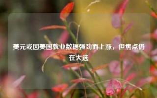 美元或因美国就业数据强劲而上涨，但焦点仍在大选