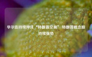 华尔街持续押注“特朗普交易” 特朗普概念股持续强势