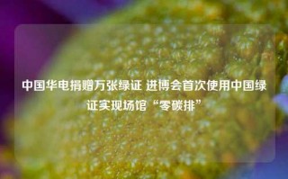 中国华电捐赠万张绿证 进博会首次使用中国绿证实现场馆“零碳排”