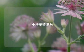 央行重磅发布