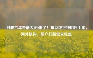 日股六年来最大IPO来了！东京地下铁明日上市，海外机构、散户打新需求旺盛