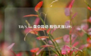 Tilly'S, Inc.盘中异动 股价大涨5.19%