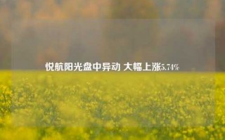 悦航阳光盘中异动 大幅上涨5.74%