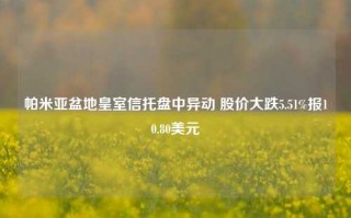 帕米亚盆地皇室信托盘中异动 股价大跌5.51%报10.80美元