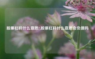 股票杠杆什么意思?,股票杠杆什么意思会负债吗