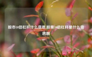 股市10倍杠杆什么意思,股票10倍杠杆是什么意思啊