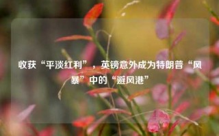 收获“平淡红利”，英镑意外成为特朗普“风暴”中的“避风港”