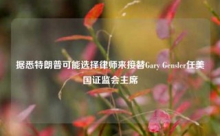 据悉特朗普可能选择律师来接替Gary Gensler任美国证监会主席