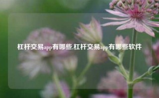 杠杆交易app有哪些,杠杆交易app有哪些软件