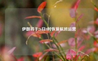 伊朗将于26日9时恢复航班运营