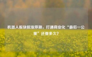 机器人板块掀涨停潮，打通商业化“最后一公里”还要多久？