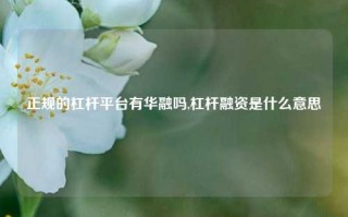 正规的杠杆平台有华融吗,杠杆融资是什么意思