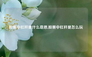 股票中杠杆是什么意思,股票中杠杆是怎么玩