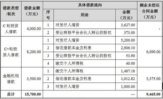 胜科纳米IPO：实控人举债增持公司股份，二十年押上全部身家，办出“芯片全科医院”-第2张图片-十倍杠杆-股票杠杆