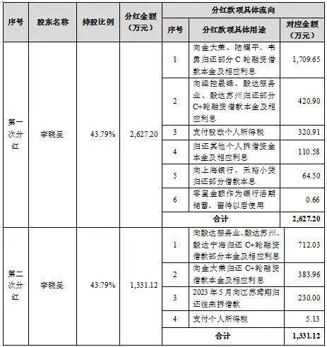 胜科纳米IPO：实控人举债增持公司股份，二十年押上全部身家，办出“芯片全科医院”-第3张图片-十倍杠杆-股票杠杆