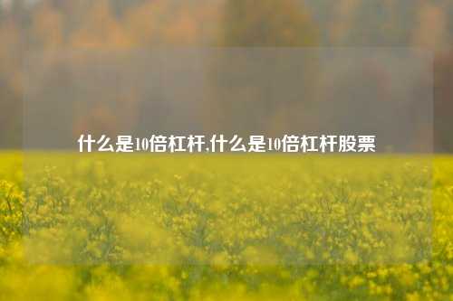 什么是10倍杠杆,什么是10倍杠杆股票-第1张图片-十倍杠杆-股票杠杆