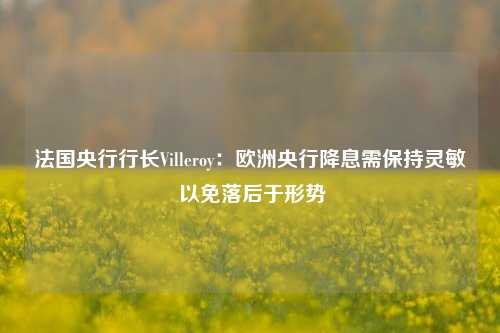 法国央行行长Villeroy：欧洲央行降息需保持灵敏 以免落后于形势-第1张图片-十倍杠杆-股票杠杆