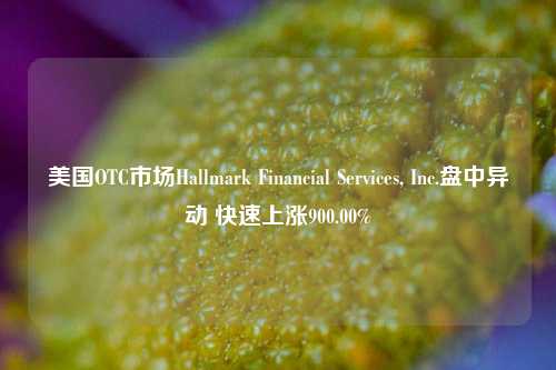 美国OTC市场Hallmark Financial Services, Inc.盘中异动 快速上涨900.00%-第1张图片-十倍杠杆-股票杠杆