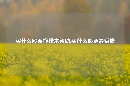 买什么股票挣钱求帮助,买什么股票最赚钱-第1张图片-十倍杠杆-股票杠杆