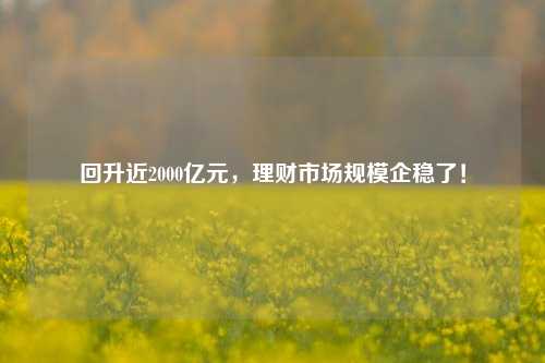 回升近2000亿元，理财市场规模企稳了！-第1张图片-十倍杠杆-股票杠杆