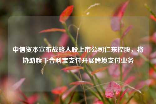 中信资本宣布战略入股上市公司仁东控股，将协助旗下合利宝支付开展跨境支付业务-第1张图片-十倍杠杆-股票杠杆