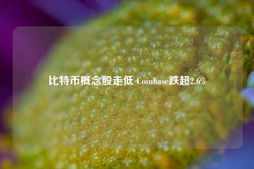 比特币概念股走低 Coinbase跌超2.6%-第1张图片-十倍杠杆-股票杠杆