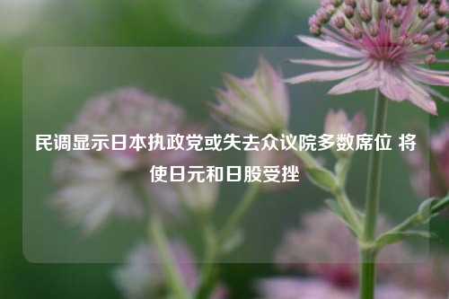 民调显示日本执政党或失去众议院多数席位 将使日元和日股受挫-第1张图片-十倍杠杆-股票杠杆