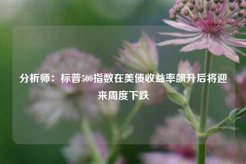 分析师：标普500指数在美债收益率飙升后将迎来周度下跌-第1张图片-十倍杠杆-股票杠杆