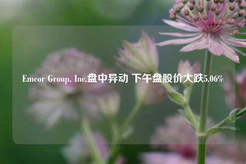 Emcor Group, Inc.盘中异动 下午盘股价大跌5.06%-第1张图片-十倍杠杆-股票杠杆