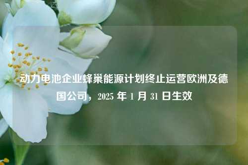 动力电池企业蜂巢能源计划终止运营欧洲及德国公司，2025 年 1 月 31 日生效-第1张图片-十倍杠杆-股票杠杆