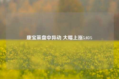 康宝莱盘中异动 大幅上涨5.05%-第1张图片-十倍杠杆-股票杠杆