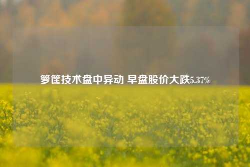 箩筐技术盘中异动 早盘股价大跌5.37%-第1张图片-十倍杠杆-股票杠杆