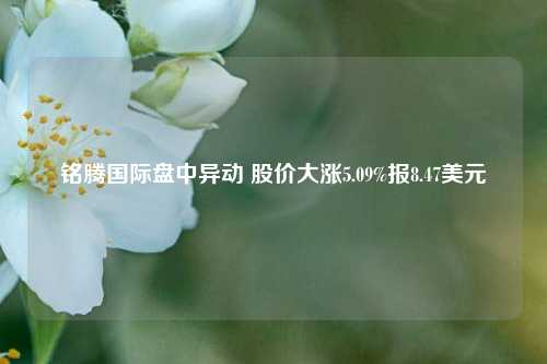 铭腾国际盘中异动 股价大涨5.09%报8.47美元-第1张图片-十倍杠杆-股票杠杆