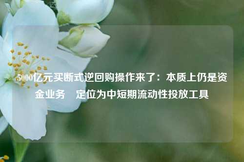 5000亿元买断式逆回购操作来了：本质上仍是资金业务 定位为中短期流动性投放工具-第1张图片-十倍杠杆-股票杠杆