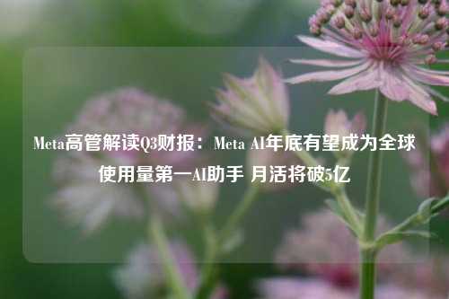 Meta高管解读Q3财报：Meta AI年底有望成为全球使用量第一AI助手 月活将破5亿-第1张图片-十倍杠杆-股票杠杆