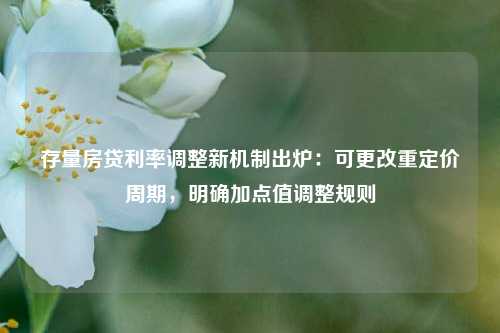 存量房贷利率调整新机制出炉：可更改重定价周期，明确加点值调整规则-第1张图片-十倍杠杆-股票杠杆