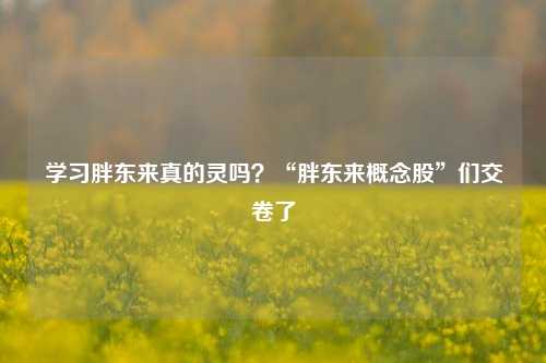 学习胖东来真的灵吗？“胖东来概念股”们交卷了-第1张图片-十倍杠杆-股票杠杆