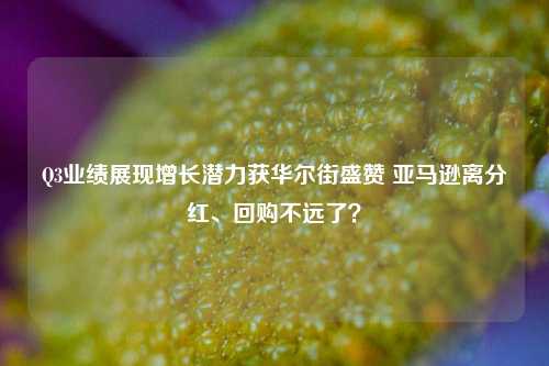 Q3业绩展现增长潜力获华尔街盛赞 亚马逊离分红、回购不远了？-第1张图片-十倍杠杆-股票杠杆