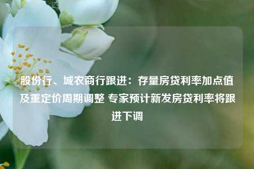 股份行、城农商行跟进：存量房贷利率加点值及重定价周期调整 专家预计新发房贷利率将跟进下调-第1张图片-十倍杠杆-股票杠杆