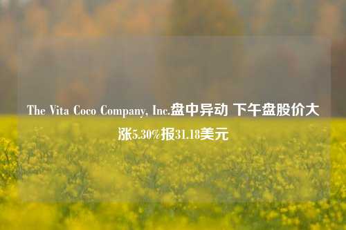 The Vita Coco Company, Inc.盘中异动 下午盘股价大涨5.30%报31.18美元-第1张图片-十倍杠杆-股票杠杆