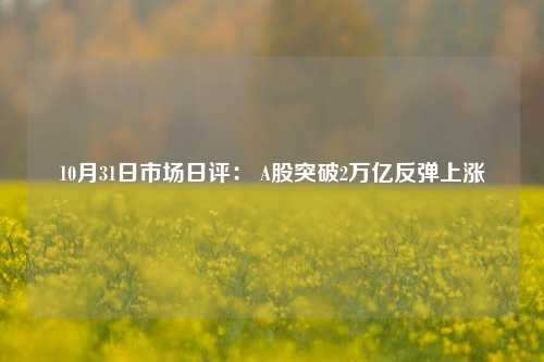 10月31日市场日评： A股突破2万亿反弹上涨-第1张图片-十倍杠杆-股票杠杆