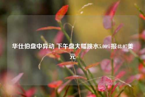 华仕伯盘中异动 下午盘大幅跳水5.00%报48.07美元-第1张图片-十倍杠杆-股票杠杆