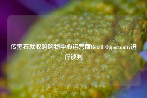 传黑石就收购购物中心运营商Retail Opportunity进行谈判-第1张图片-十倍杠杆-股票杠杆