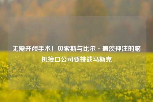 无需开颅手术！贝索斯与比尔·盖茨押注的脑机接口公司要挑战马斯克-第1张图片-十倍杠杆-股票杠杆