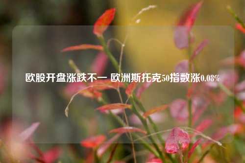 欧股开盘涨跌不一 欧洲斯托克50指数涨0.08%-第1张图片-十倍杠杆-股票杠杆