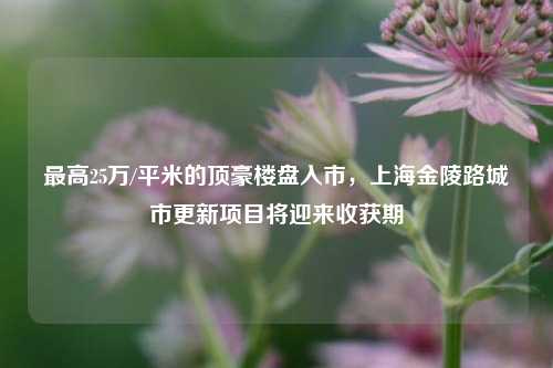 最高25万/平米的顶豪楼盘入市，上海金陵路城市更新项目将迎来收获期-第1张图片-十倍杠杆-股票杠杆