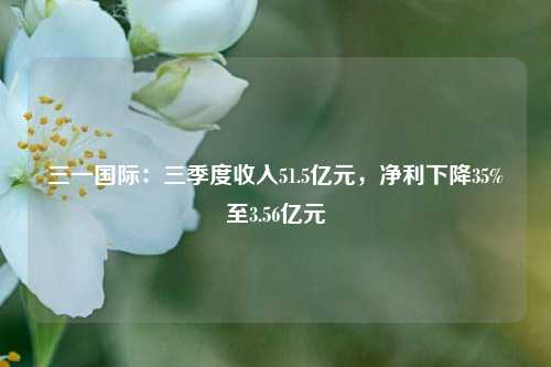 三一国际：三季度收入51.5亿元，净利下降35%至3.56亿元-第1张图片-十倍杠杆-股票杠杆