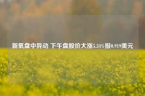 新氧盘中异动 下午盘股价大涨5.34%报0.919美元-第1张图片-十倍杠杆-股票杠杆