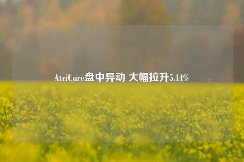 AtriCure盘中异动 大幅拉升5.14%-第1张图片-十倍杠杆-股票杠杆